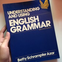 Understanding And Using English Grammar Second Edition